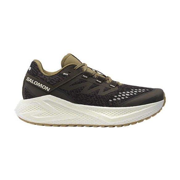 Zapatillas Trail Salomon Aero Glide 3 GRVL