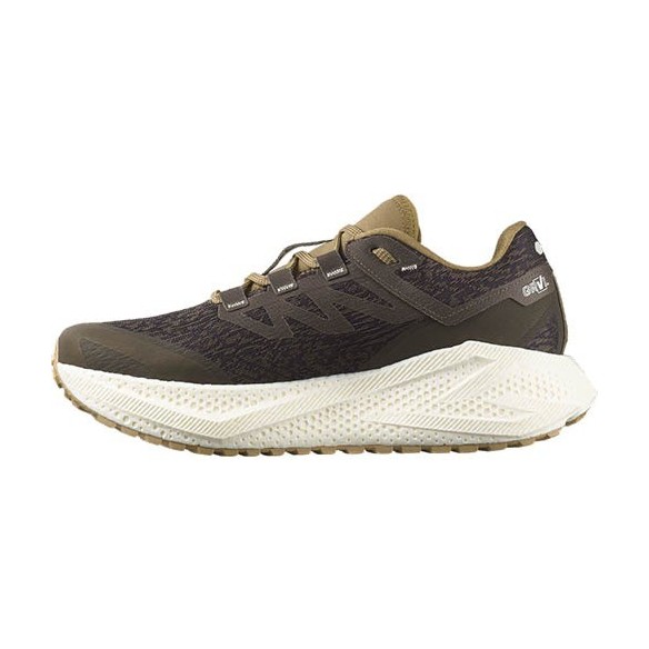 Zapatillas Trail Salomon Aero Glide 3 GRVL