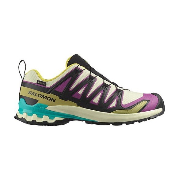 Zapatillas Trail Salomon XA PRO 3D V9 GTX