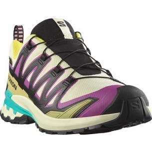 Zapatillas Mujer Salomon XA PRO 3D V9 GTX