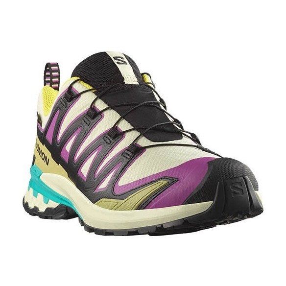Zapatillas Mujer Salomon XA PRO 3D V9 GTX