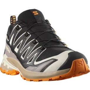 Zapatillas Trail Salomon XA PRO 3D V9 GTX