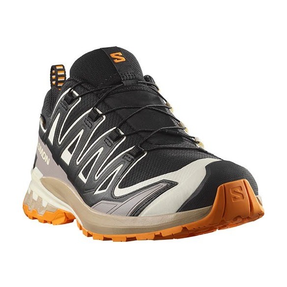 Zapatillas Trail Salomon XA PRO 3D V9 GTX