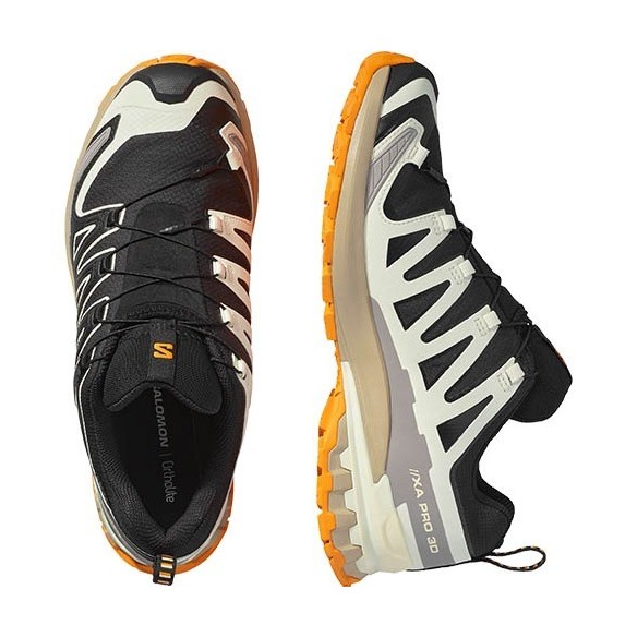 Zapatillas Trail Salomon XA PRO 3D V9 GTX