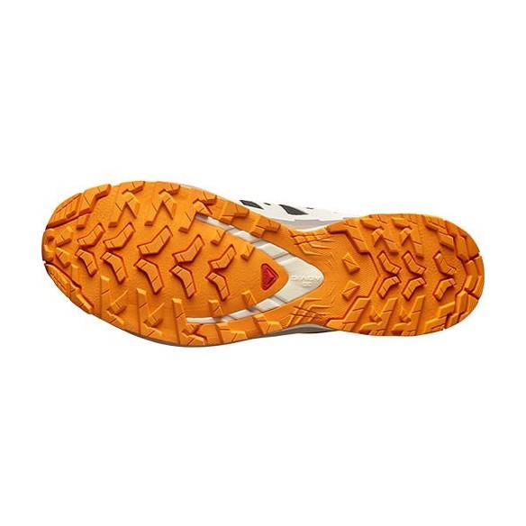 Zapatillas Trail Salomon XA PRO 3D V9 GTX