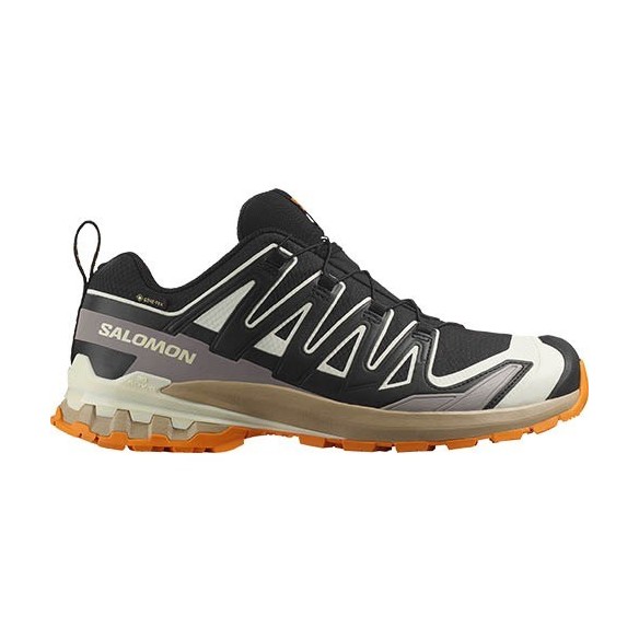 Zapatillas Trail Salomon XA PRO 3D V9 GTX