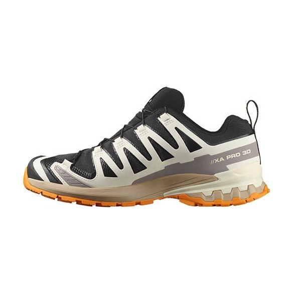 Sabatilles Trail Salomon XA PRO 3D V9 GTX
