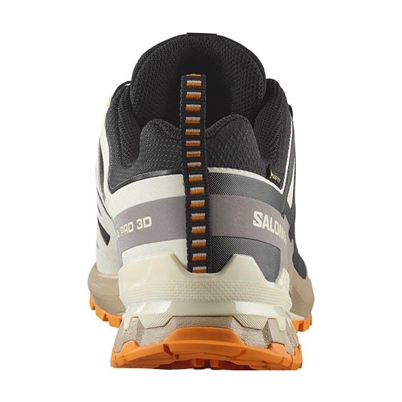 Zapatillas Trail Salomon XA PRO 3D V9 GTX