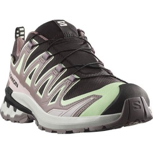 Zapatillas Mujer Salomon XA PRO 3D V9 GTX