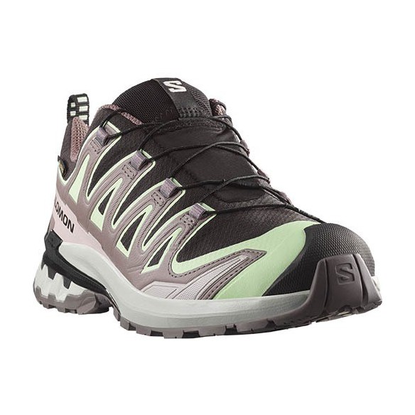 Zapatillas Mujer Salomon XA PRO 3D V9 GTX