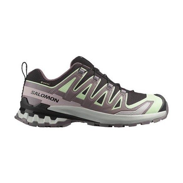 Salomon XA PRO 3D V9 GTX Trail Shoes