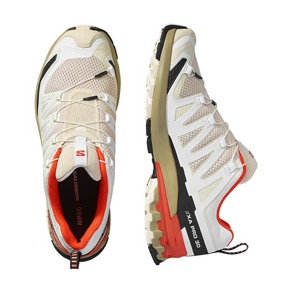 Chaussures Trail Salomon XA PRO 3D V9