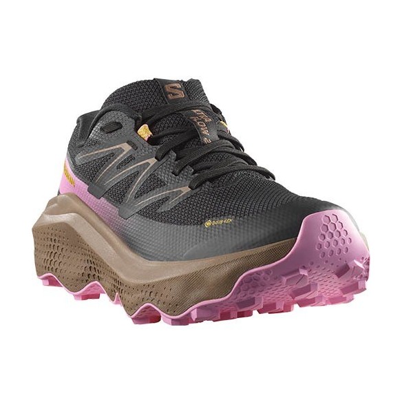 Sabatilles Dona Salomon Ultra Flow 2 GTX