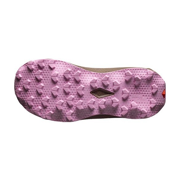 Sabatilles Dona Salomon Ultra Flow 2 GTX