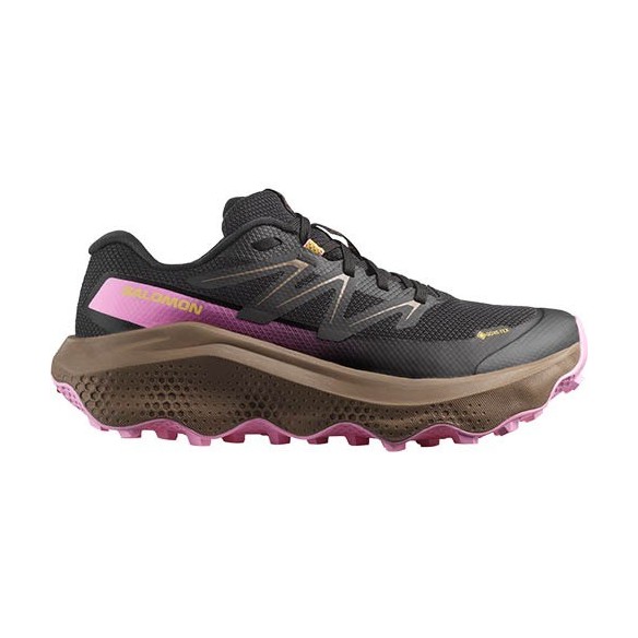 Chaussures Femme Salomon Ultra Flow 2 GTX