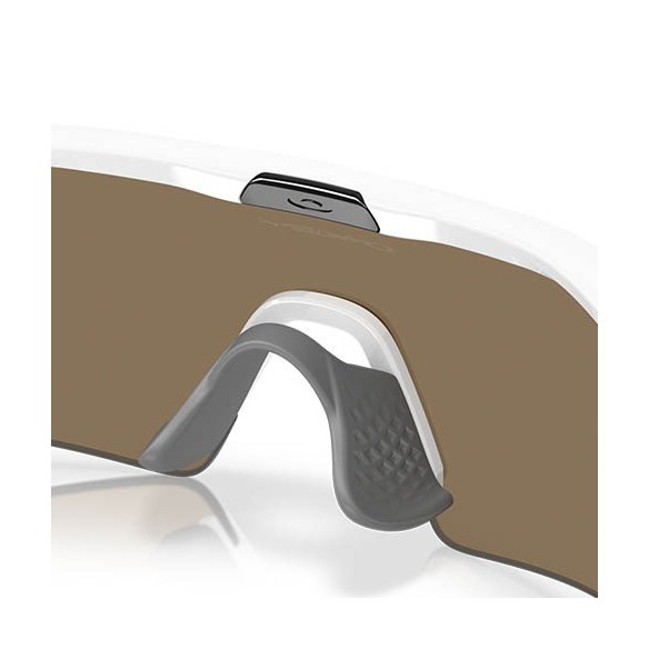 Ulleres Oakley Radar Plate