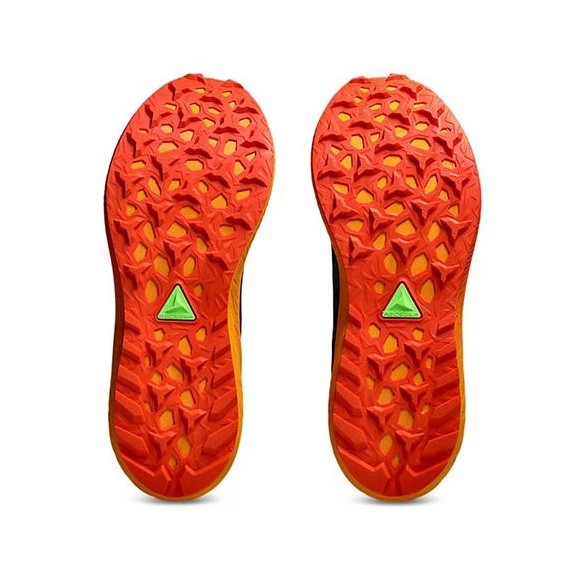 Sabatilles Trail Asics Fuji Lite 5