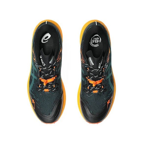 Sabatilles Trail Asics Fuji Lite 5