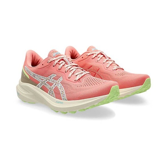 Zapatillas Mujer Asics GT-1000 13 TR