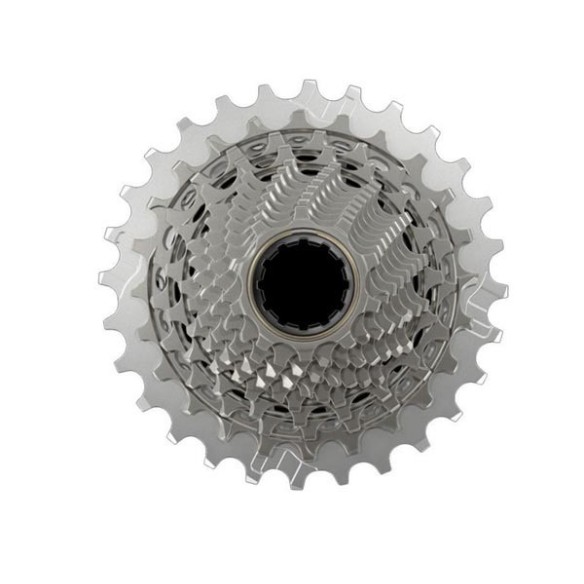 Pinyons Sram XG-1290 E1 10-33 12v plata