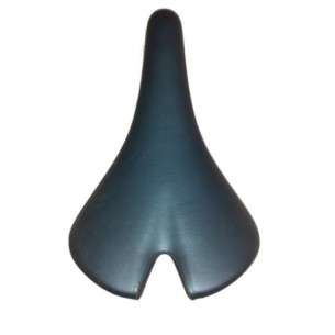 Seient Fizik Vitesse
