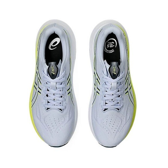 Sabatilles Running Asics GT-2000 14