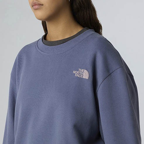 Sudadera The North Face NSE Slopes Relaxed