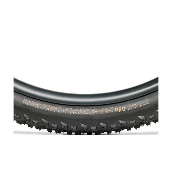 Cubierta MTB Bontrager Montrose Pro XR TLR (29X2.4)