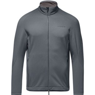 Veste Gorewear Fernflow Thermo